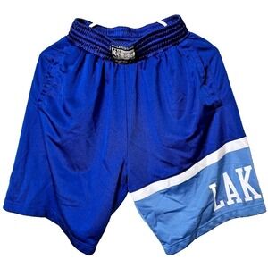 Mitchell & Ness Los Angeles Lakers Shorts Blue Hardwood Classics Mens Small